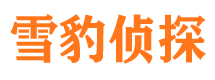 吉隆侦探公司